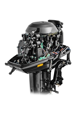 Мотор Reef Rider RR30FFES