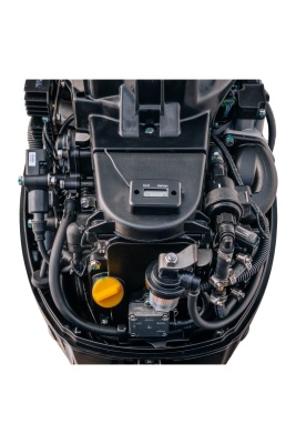 Мотор Reef Rider RREF20FES