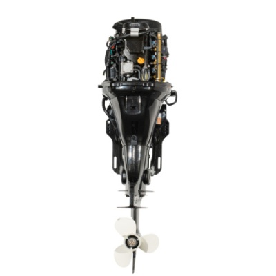 Мотор лодочный GOLFSTREAM F100FEL-T EFI