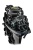 Мотор Reef Rider RR40FFES
