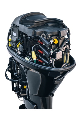 Мотор Reef Rider RREF30FEL-T