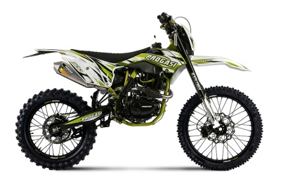 Мотоцикл PROGASI Super Max 300 зелен