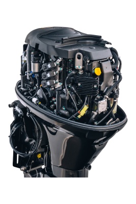 Мотор Reef Rider RREF60FVEL-T